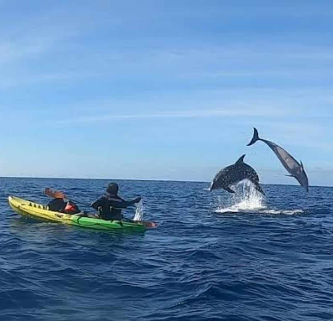 Tenerife experiences