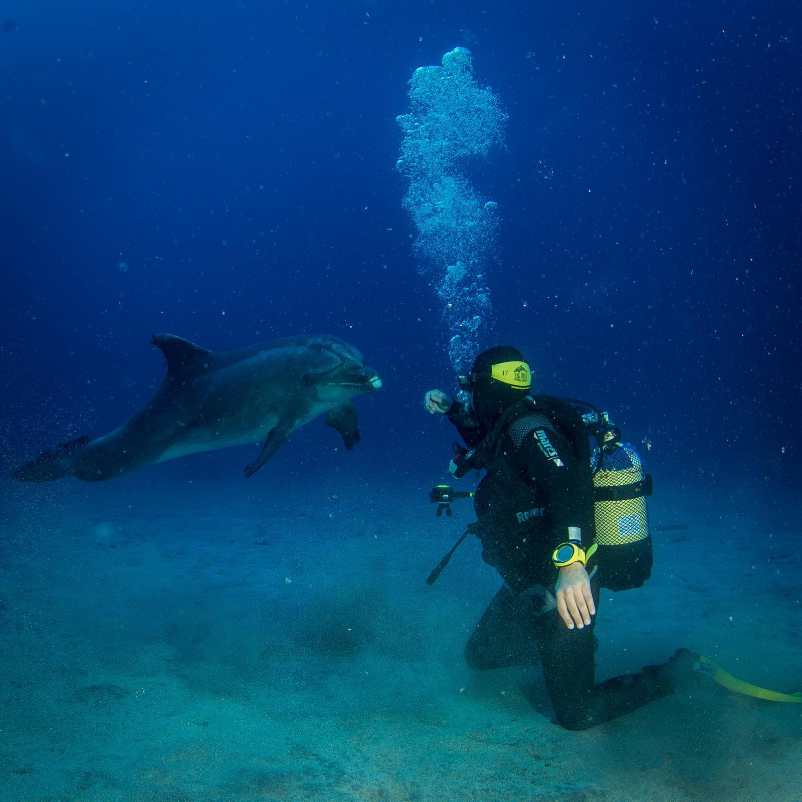 Bautismo de Buceo